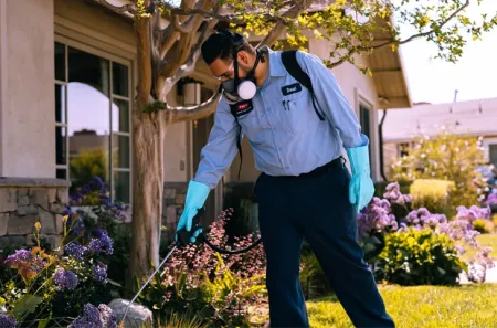 pest control