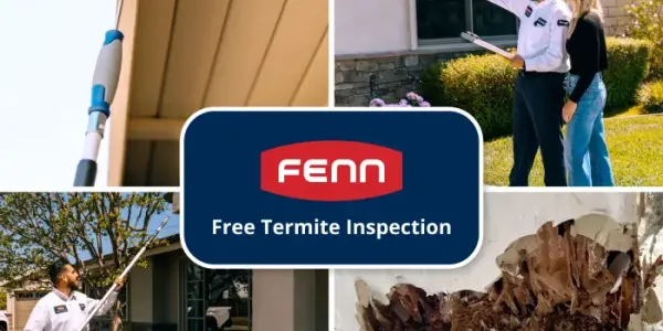 termite-fenn-branded-photo